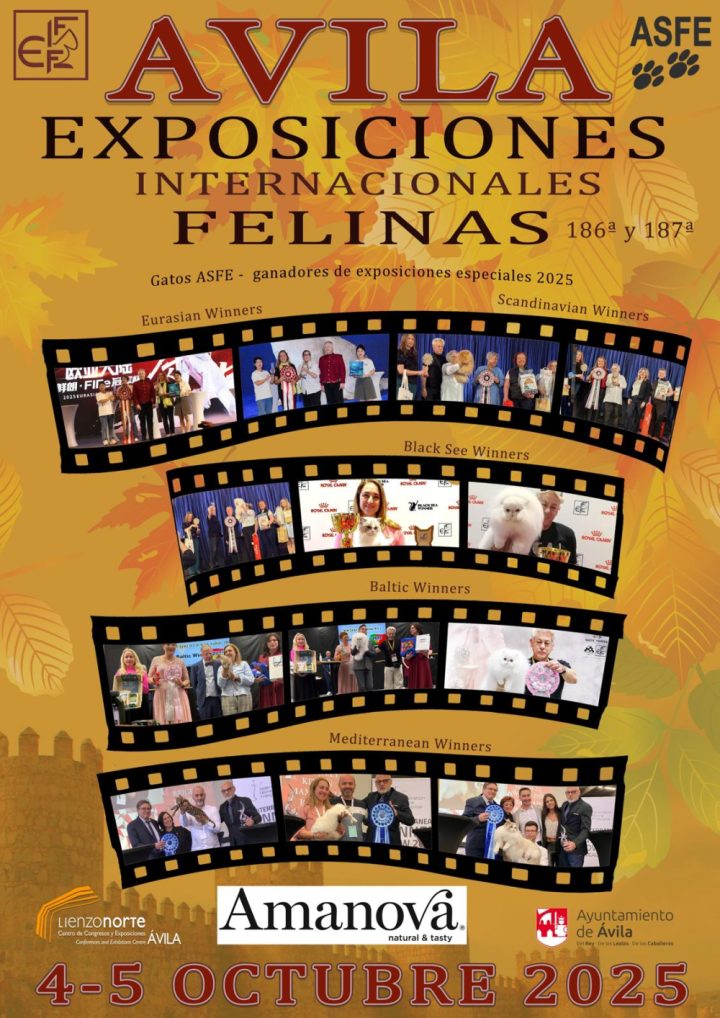 Exposiciones Internacionales Felinas - 186º y 187º
