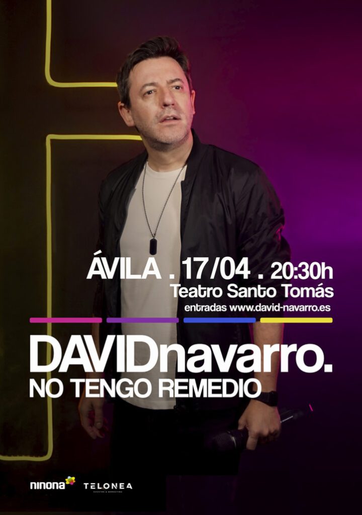 David Navarro. No tengo remedio