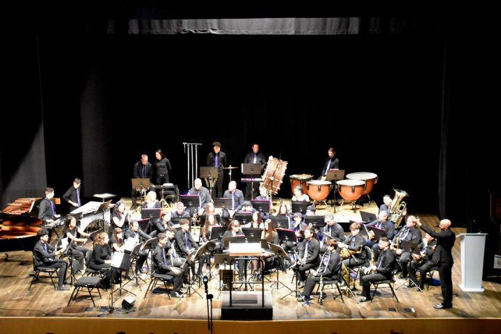 Concierto Solidario de la Banda de Música de Ávila