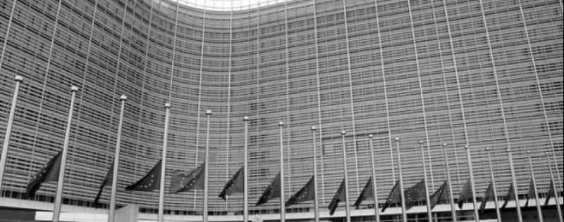 Canción de guerra, canción de paz