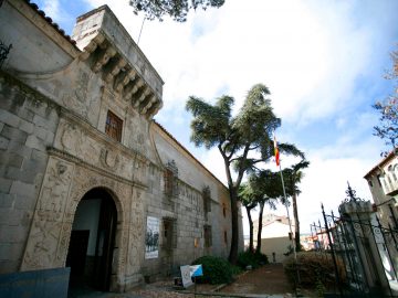 Archivo Histórico Militar - Palacio de Polentinos