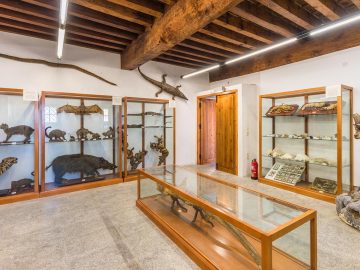 Museo de Ciencias Naturales - Real Monasterio de Santo Tomás