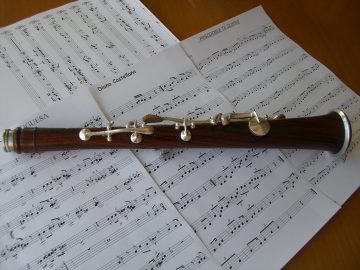 PASACALLES NAVIDEÑO DULZAINADA